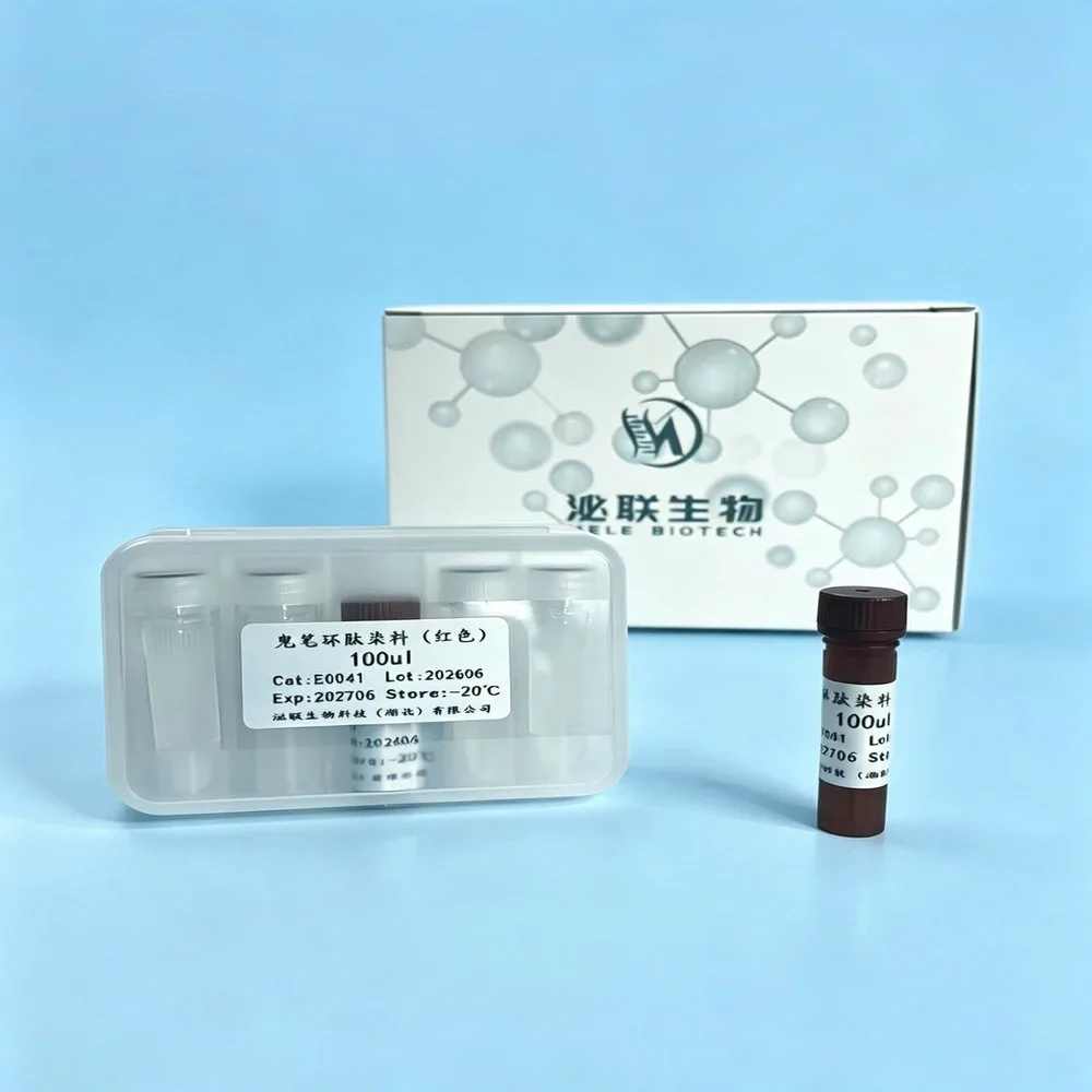 TRITC Phalloidin 鬼笔环肽染料（红色）-E0041