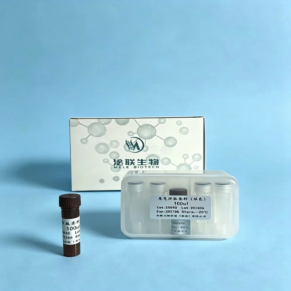 488 Phalloidin 鬼笔环肽染料（绿色）-E0040